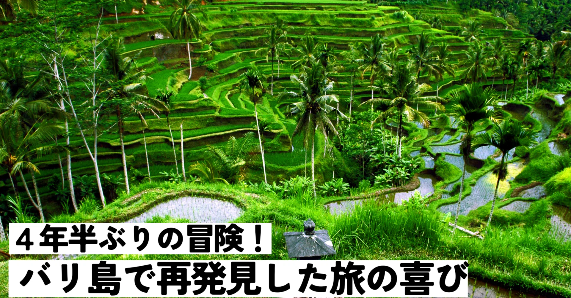 4年半ぶりの冒険！バリ島で再発見した旅の喜び｜【HIS公式
