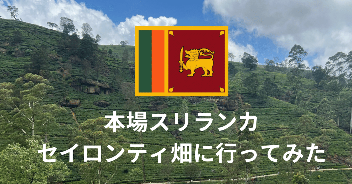 スリランカで本場セイロンティー畑に行ってみた🌱[ヌワラ・エリヤ旅