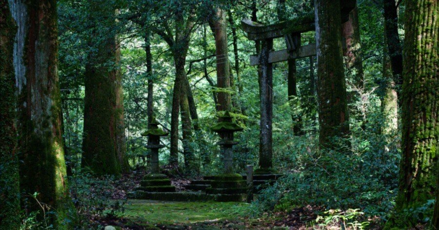 岐阜県美濃市 滝神社 | 趣味のペエジ