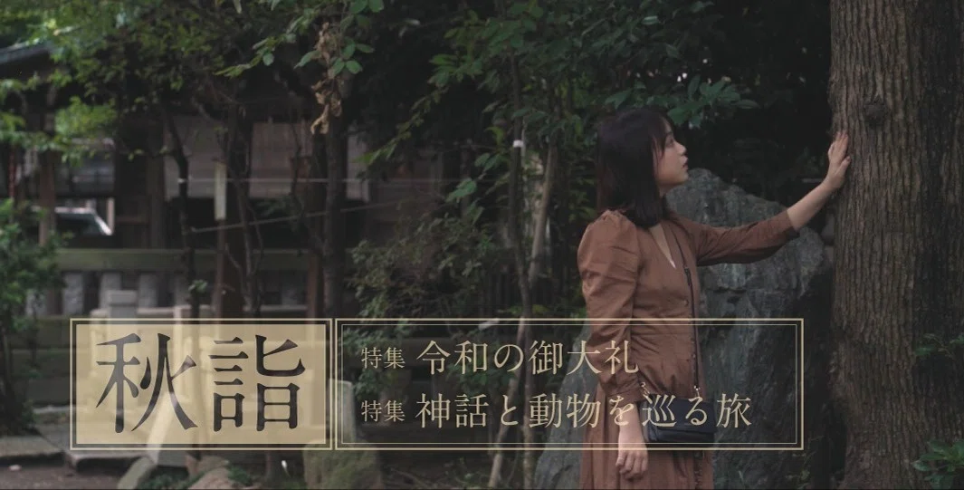 画像9