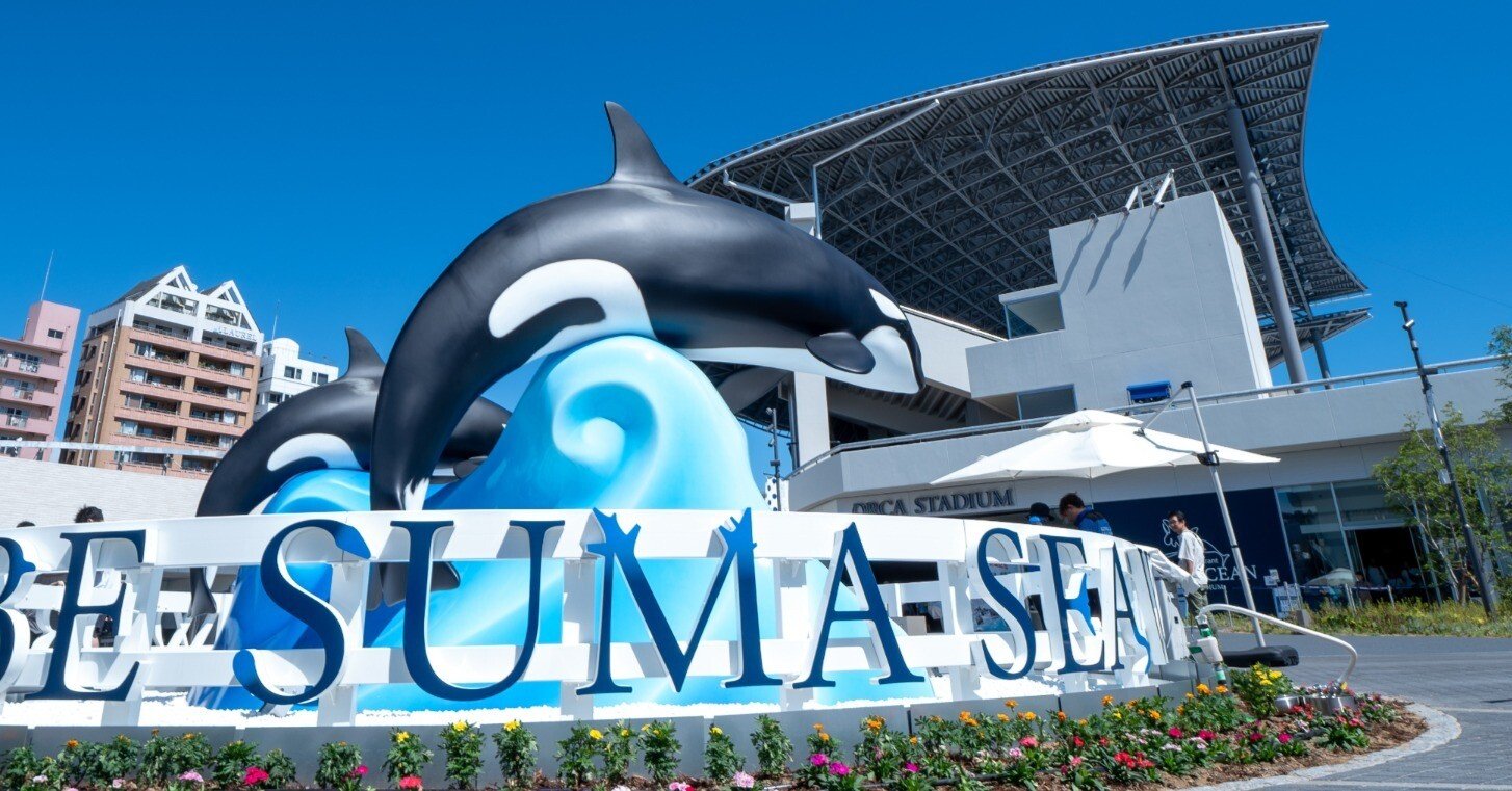 神戸須磨シーワールドでオルカ(シャチ)ショーやイルカショーの撮り方