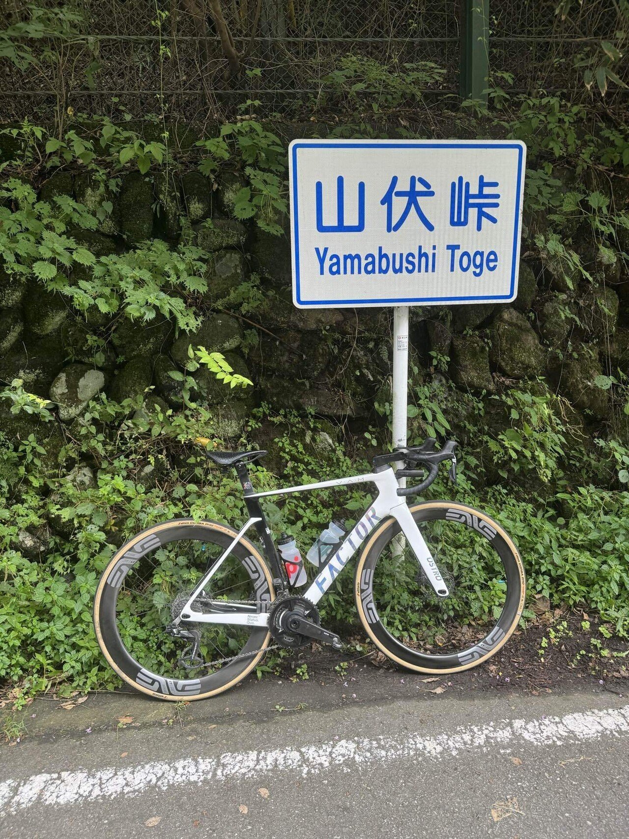 ケツ問題解消!S-WORKS POWER WITH MIRRORサドルを使い続けた ケツ問題解消!S-WORKS POWER WITH MIRRORサドルを使い続けた