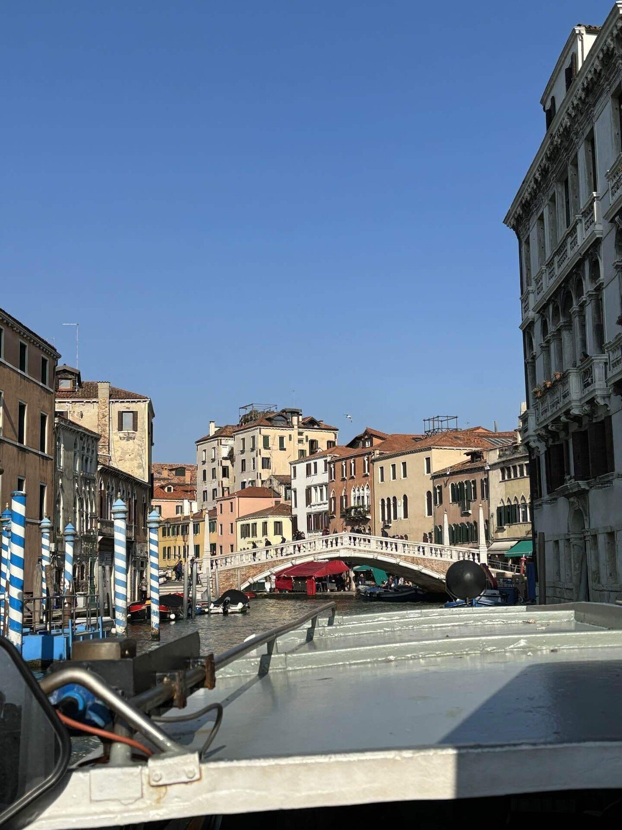 イタリア*ムラーノ島の青い鳥の置物稀少価値マルチバブル製法 イタリア*ムラーノ島の青い鳥の置物稀少価値マルチバブル製法