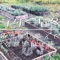 ラベンダーを 食べる ラベンダーミルク編 エフゲニーマエダ 平成林業 Note