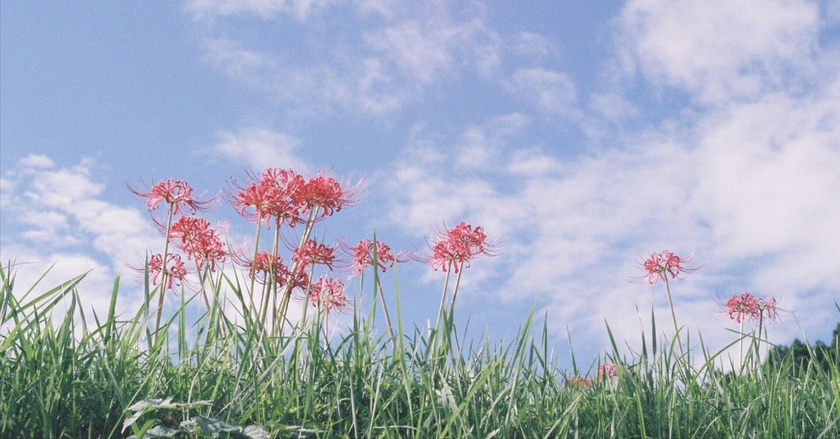 AGFA SELECTRONIC 1｜Danny'O