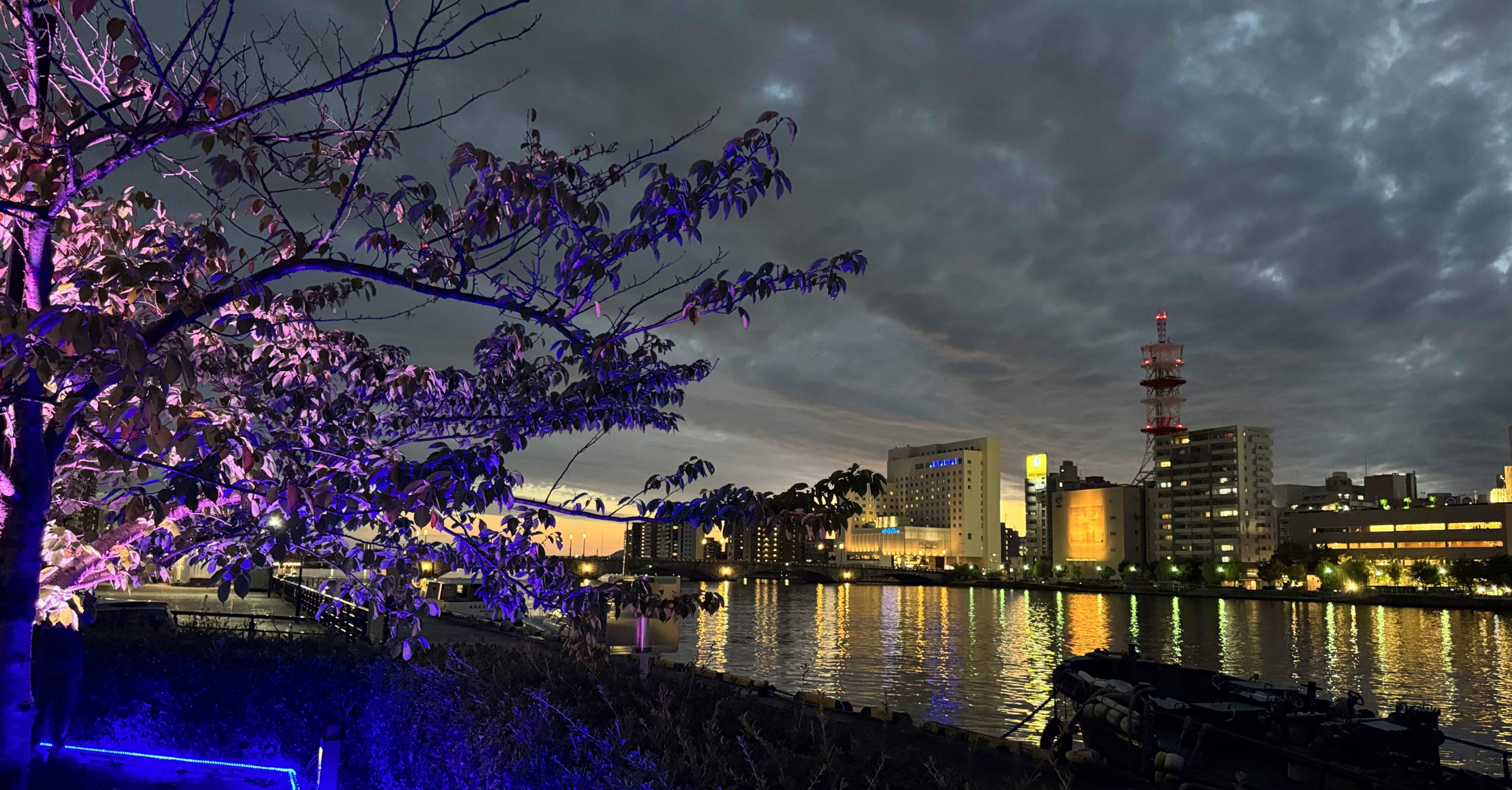 c4e41beb8c413b87562857ec5fcf87