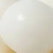 しらたまこ