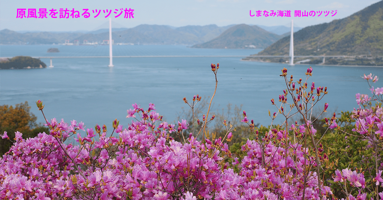 23．しまなみ海道 開山のツツジ｜sasayan