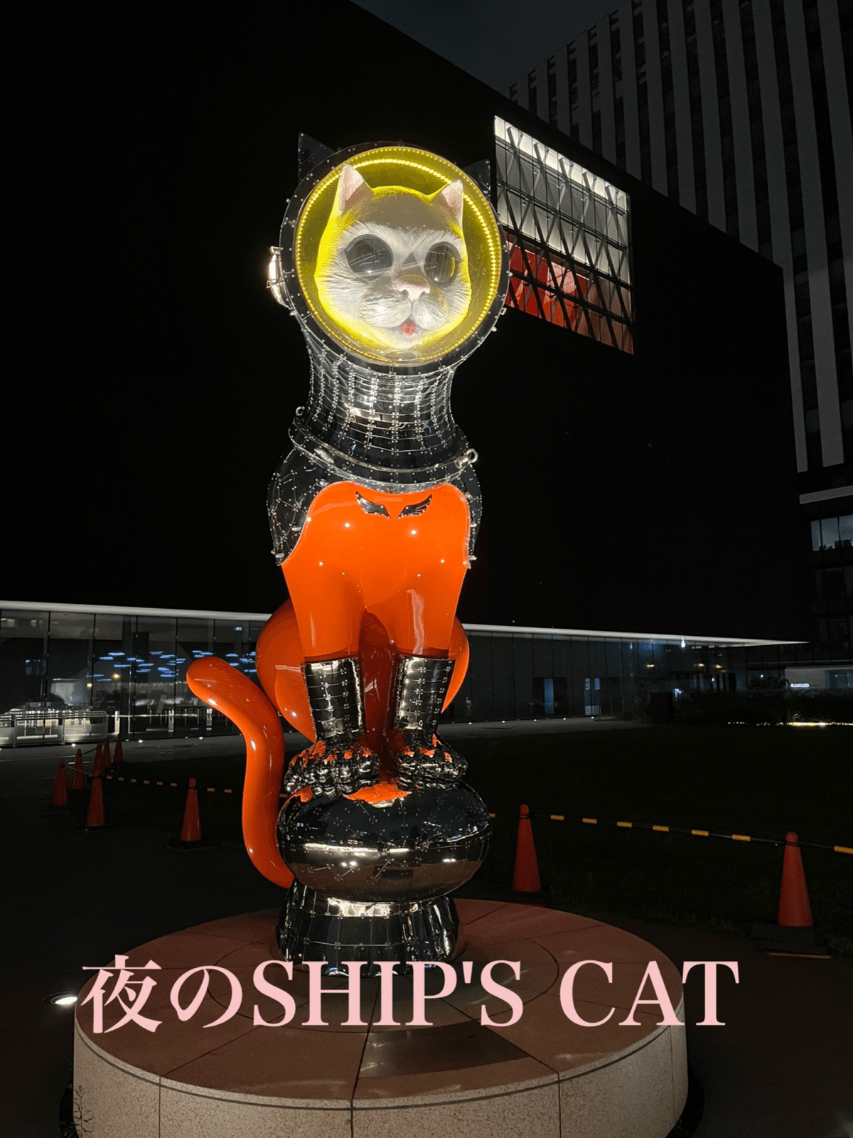 マーケットのニャ術師 キャットルズ 黒猫アイランド キャットルズ マーケットのニャ術師 2025年最新