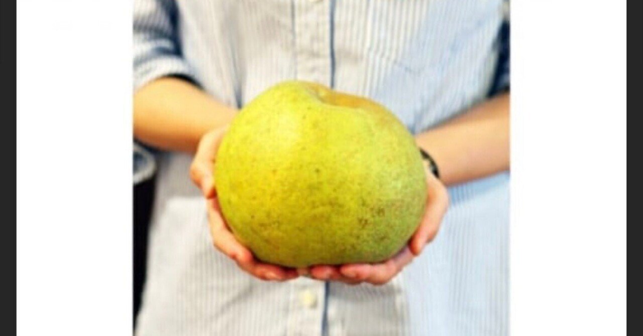 1玉1500円 幻の梨【かおり梨】って知ってる？｜ラクサ