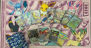 2025シティリーグS1全勝優勝】カウンター型タケルライコオーガ