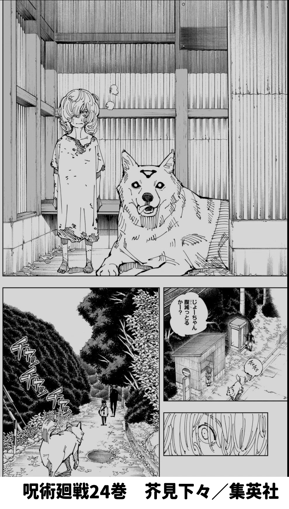 呪術廻戦 1-24巻【一回しか読んでません】 【公式通販】