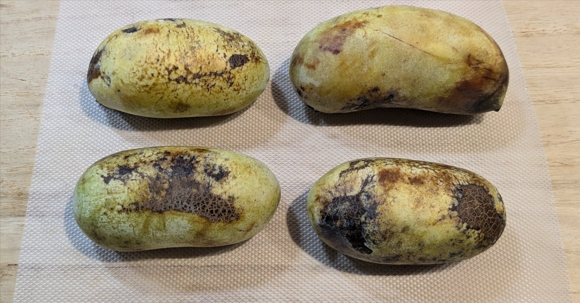 幻のフルーツ「ポポー」を人生で初めて食べてみたら、一度に5種類の