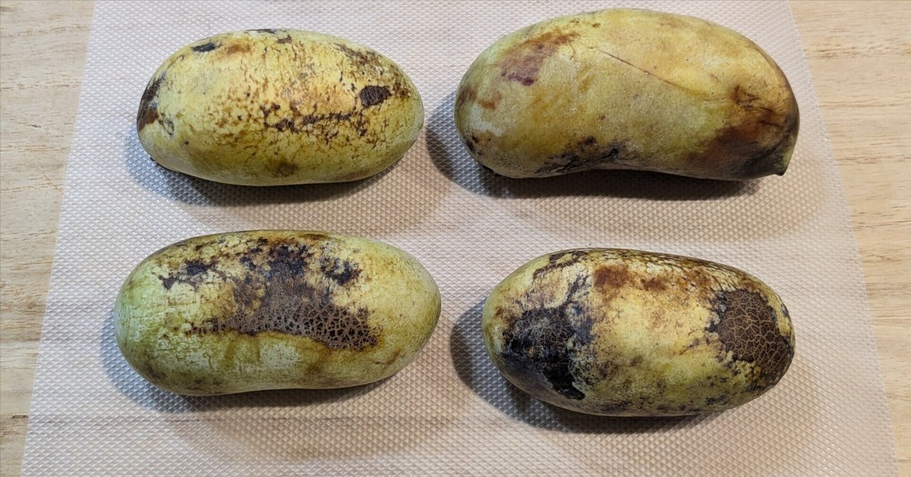 幻のポポー 6kg 冷凍 rectangle_large_type_2_ef2d280