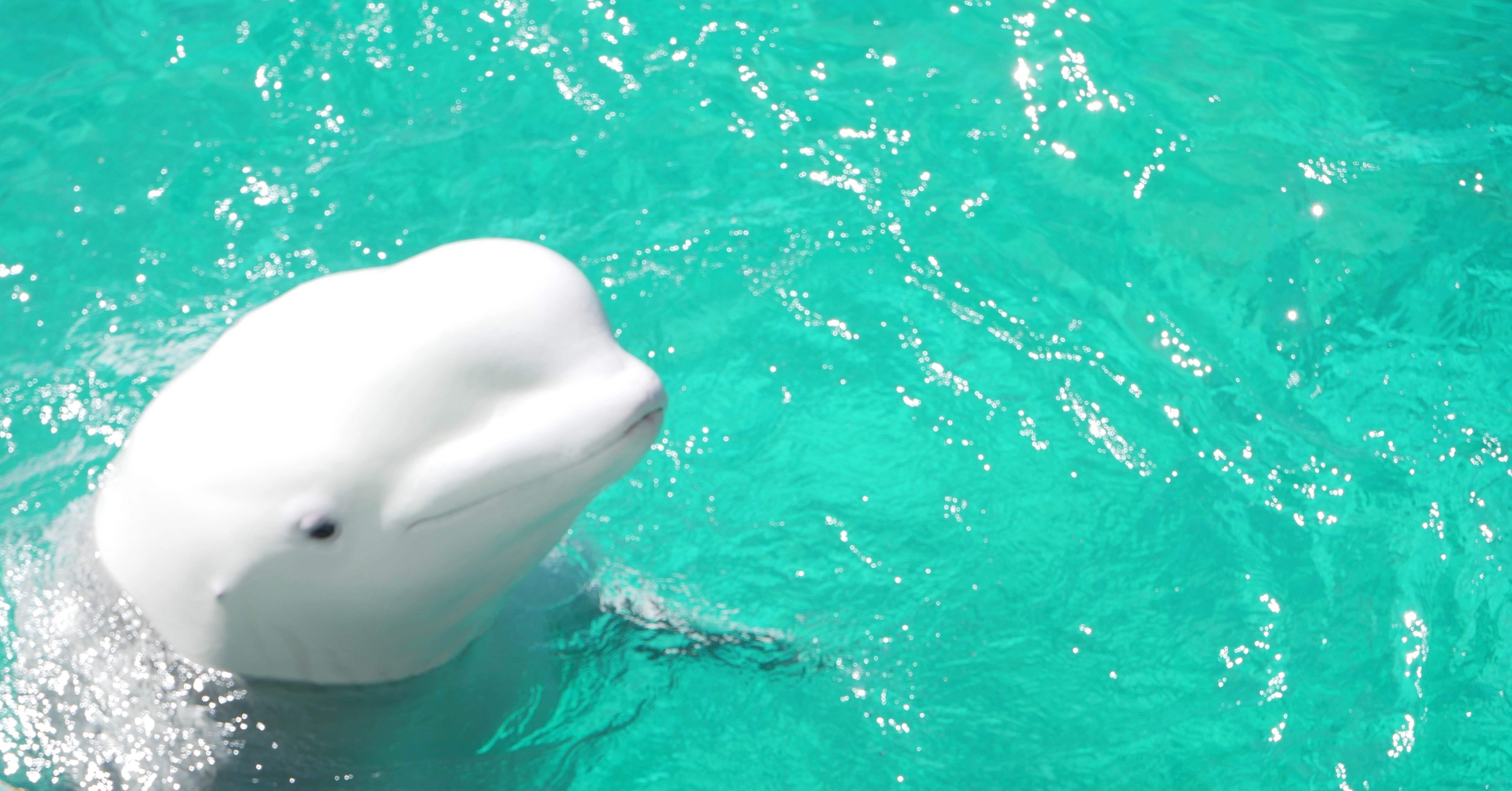 9c65bec97b2d05f681e70338df0768