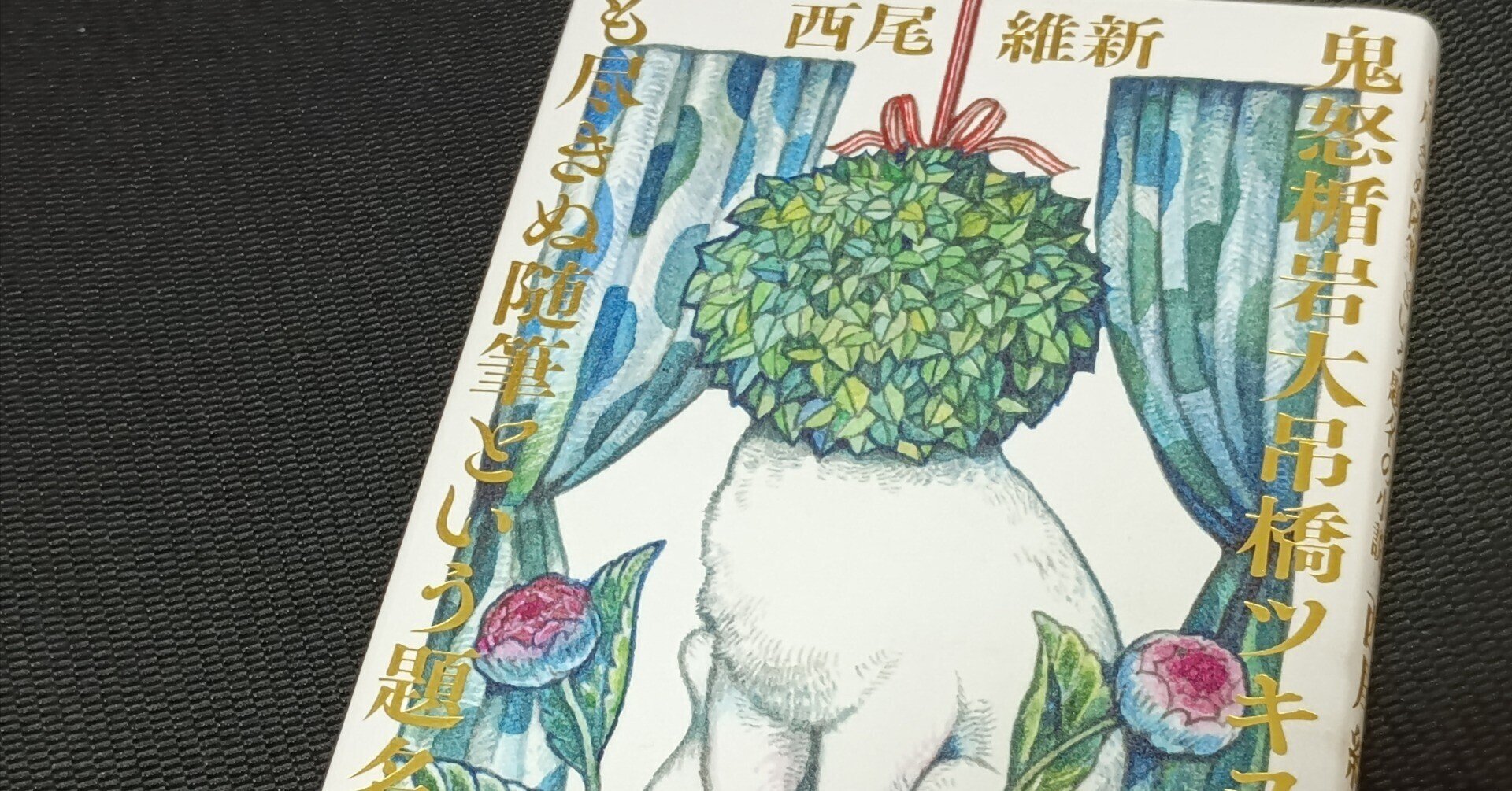 Wサイン本 鬼怒楯岩大吊橋ツキヌの汲めども尽きぬ随筆という