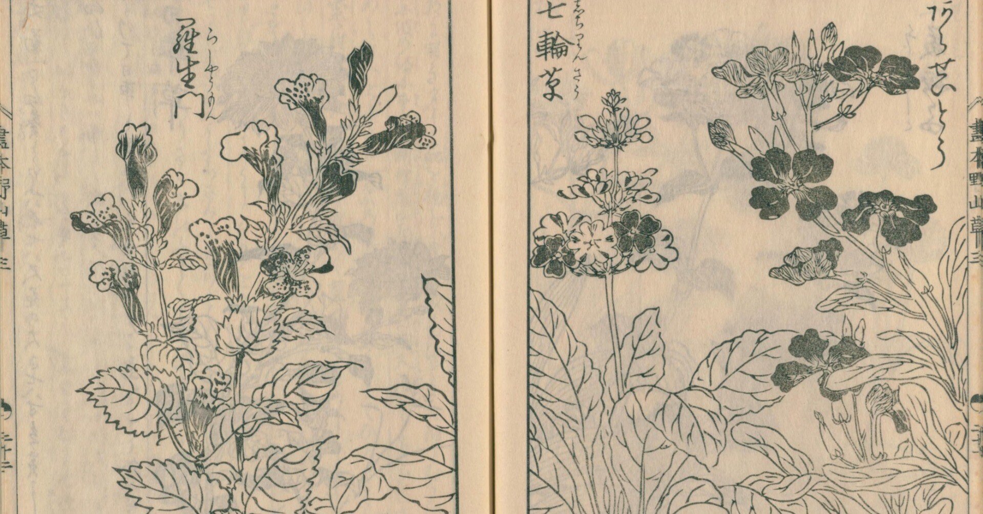 咫尺齋五世豊山 温泉遊草(咫尺齋五世豊山著画) / 古本、中古本