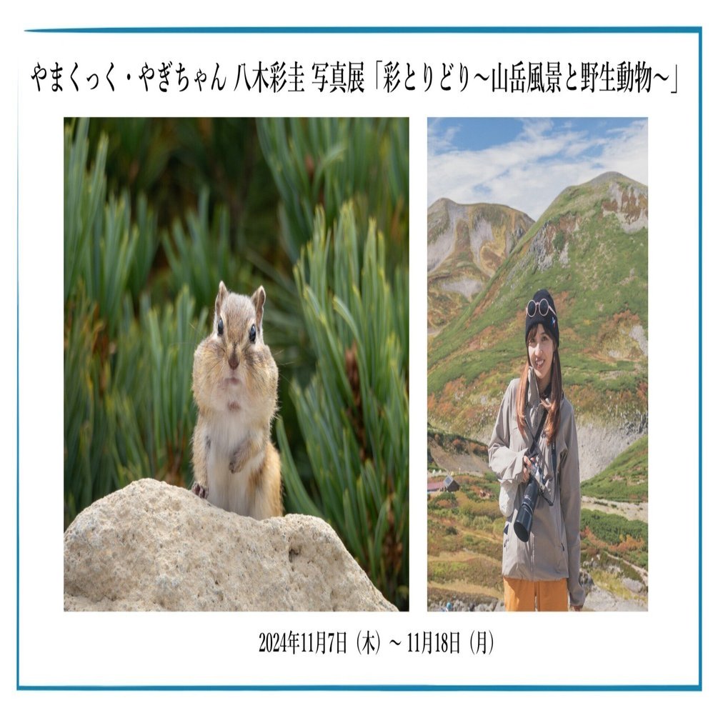 注目ショップ・ブランドのギフト やまくっく・やぎちゃん 八木 彩圭 写真展「彩とりどり〜山岳 コスプレウィッグ