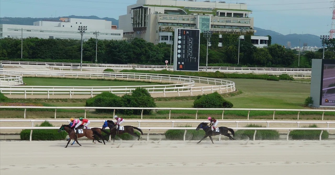 競馬場訪問記: 園田競馬場｜horseracing lover