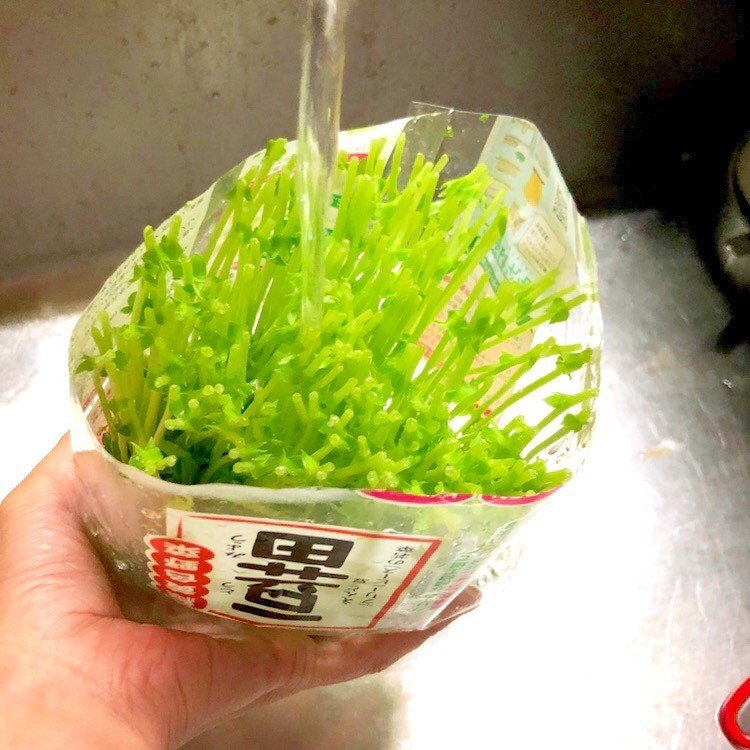 ズボラと思うか 合理的と思うか それはあなた次第です 豆苗の扱い方 古谷 真知子 Note