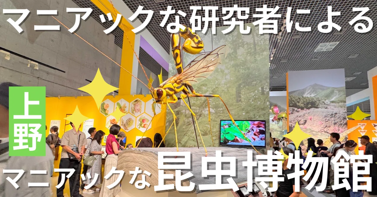 子連れにおすすめ！マニアックな昆虫博物館が深すぎた＠上野駅【国立
