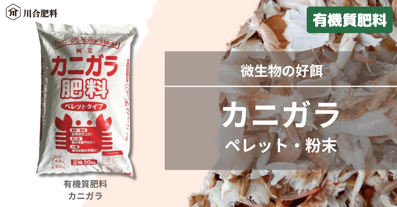 ヤギ・ヒツジのペレット飼料 20キロ 【公式通販】