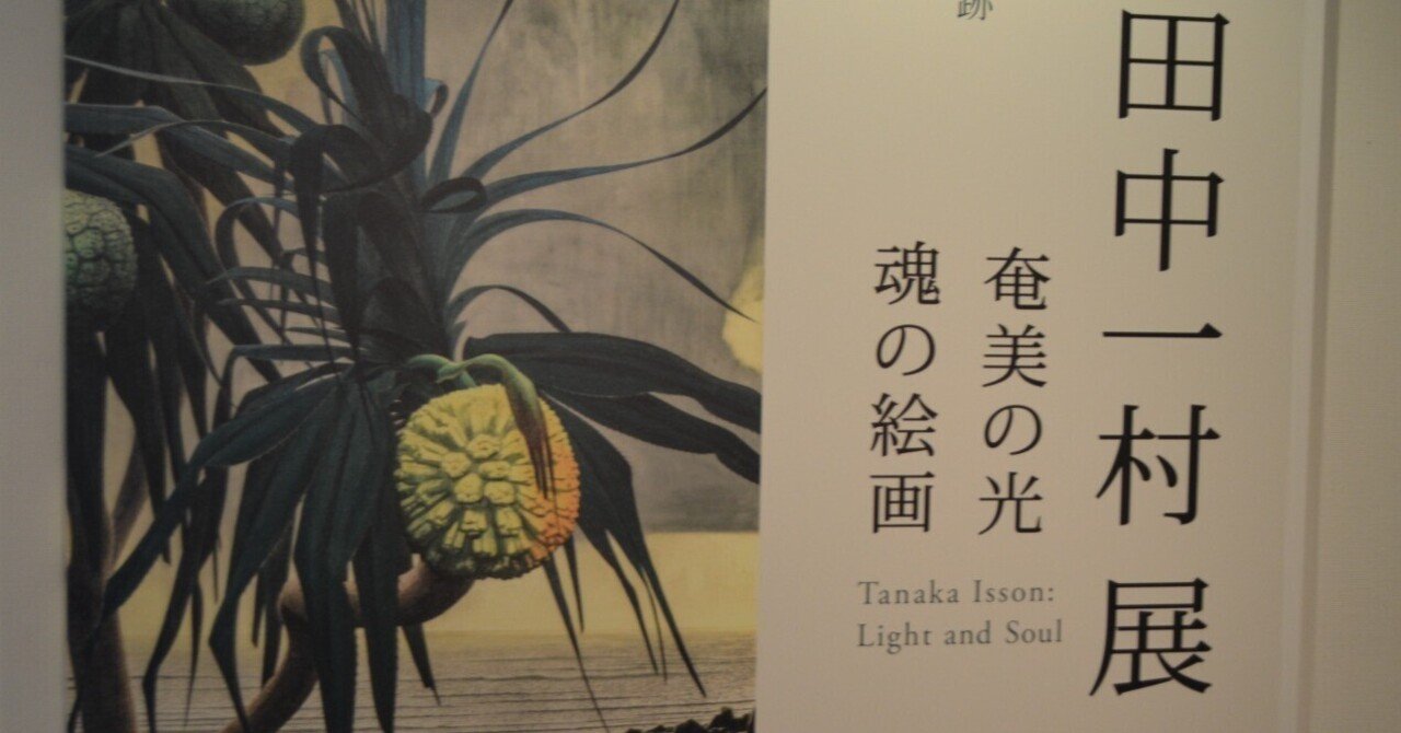 田中一村展を観た！｜桑原亘之介