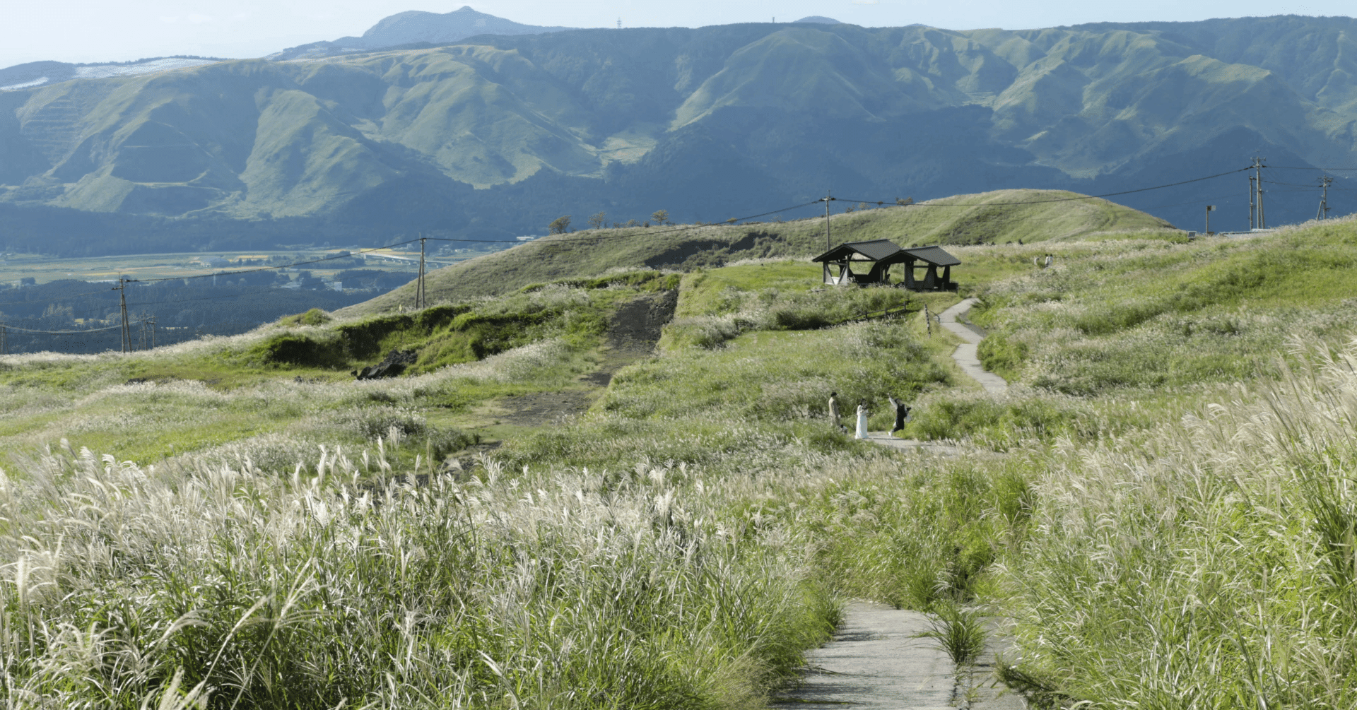 コンパクトな白レンズCanon EF70-300mm F4-5.6L IS USMを購入｜aki mura