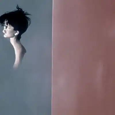 藤🫨