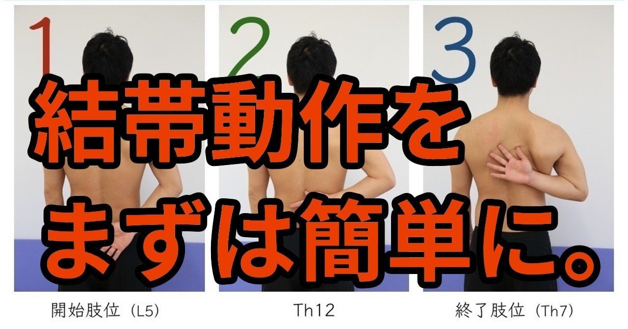 結帯動作の正常運動とは 吉田 一也 理学療法士 医学博士 Note