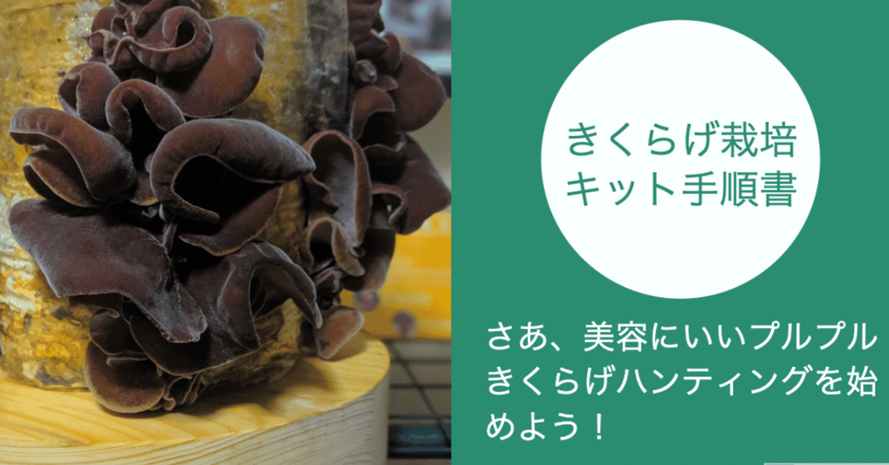 きくらげ の急上昇タグ記事一覧 Note つくる つながる とどける