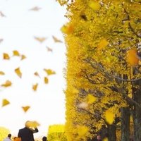 めっちゃ天皇 川端 隆拓 りゅうた Note