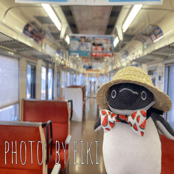 ぬいぐるみ撮影だいたい10年以上になったふりかえり｜英希