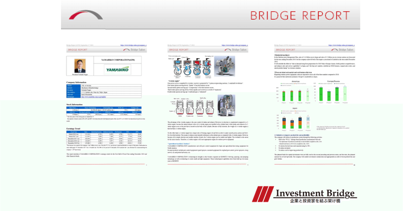 2019-Bridge Report (English IR Reports)