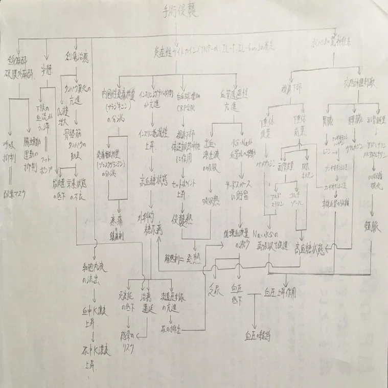 ムーア の 分類