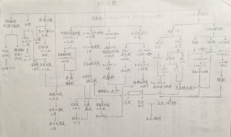 関連図 術後の関連図 ムーアの分類 第1相 鳩ぽっぽ Note 関連図 術後の関連図 ムーアの分類 第1相 鳩ぽっぽ Note