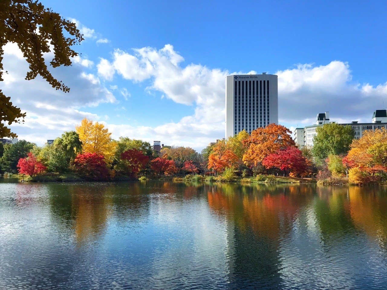 中島公園 札幌 菅野 学 写真家 Note
