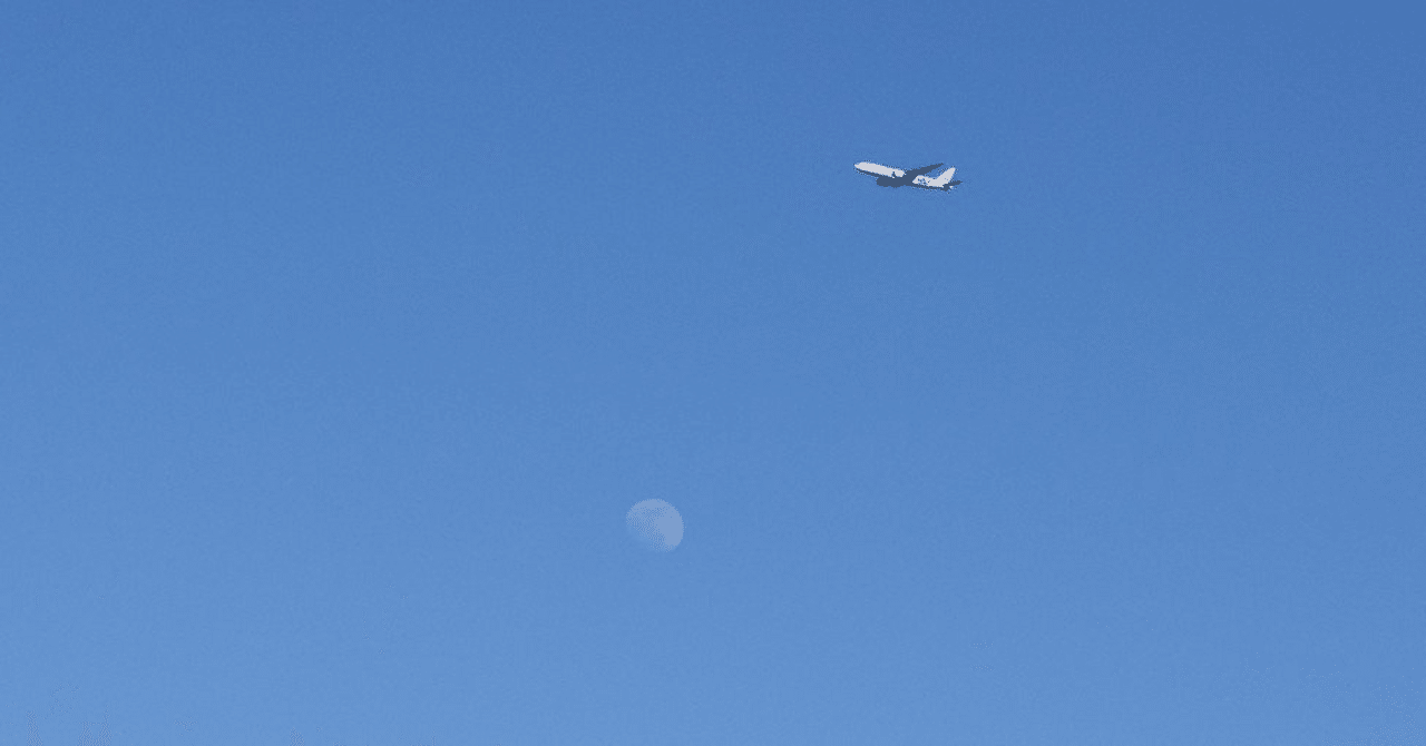 soda⭐︎float ｜noir