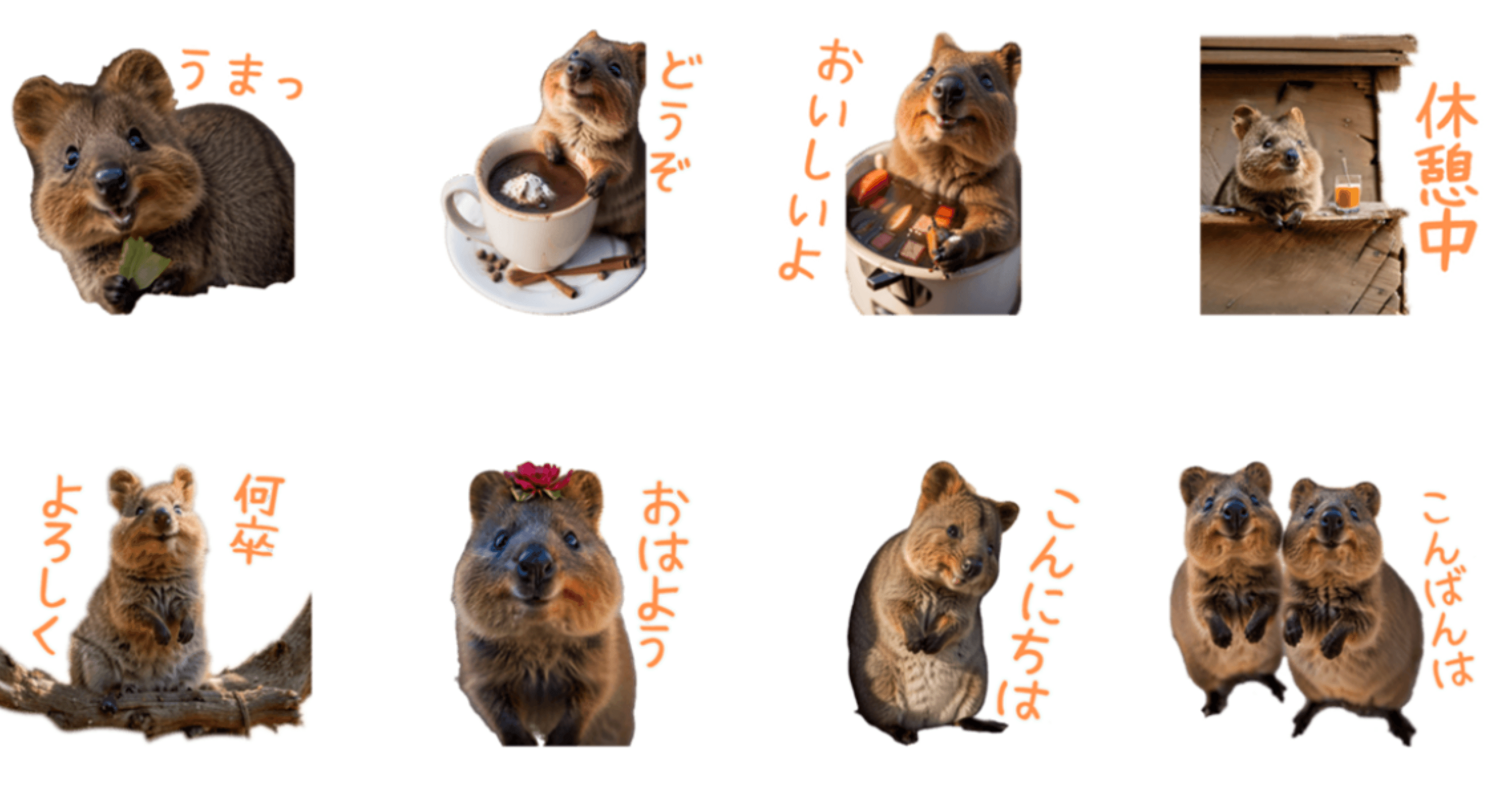 LINEスタンプ「ハッピーアニマル_クアッカワラビー23」リリース｜KU