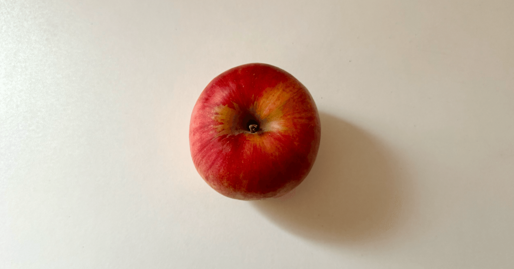 今日から毎日、りんごを描くことにした｜小野寺美穂