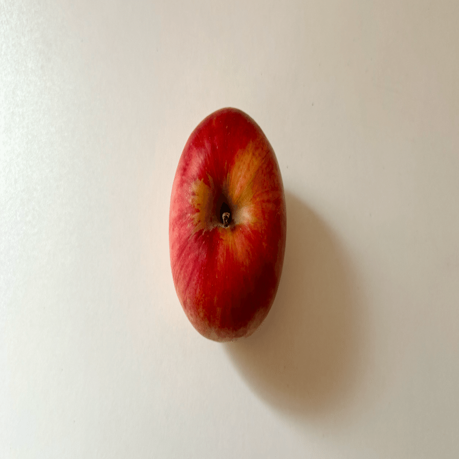 今日から毎日、りんごを描くことにした｜小野寺美穂