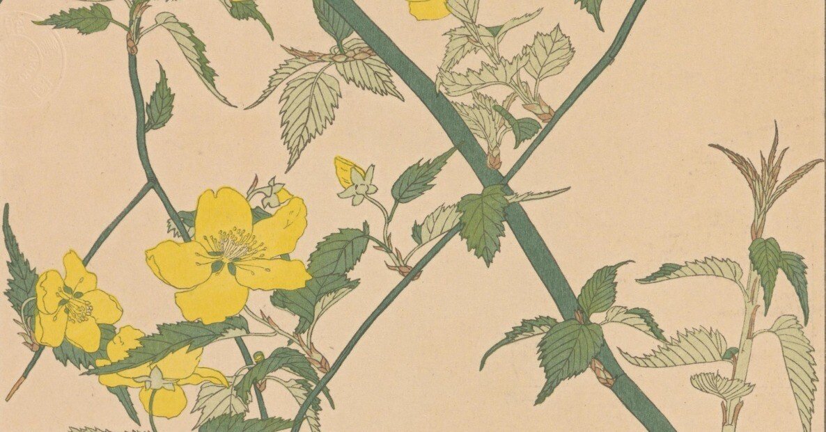 非水百花譜 第4輯｜日本花卉文化株式会社