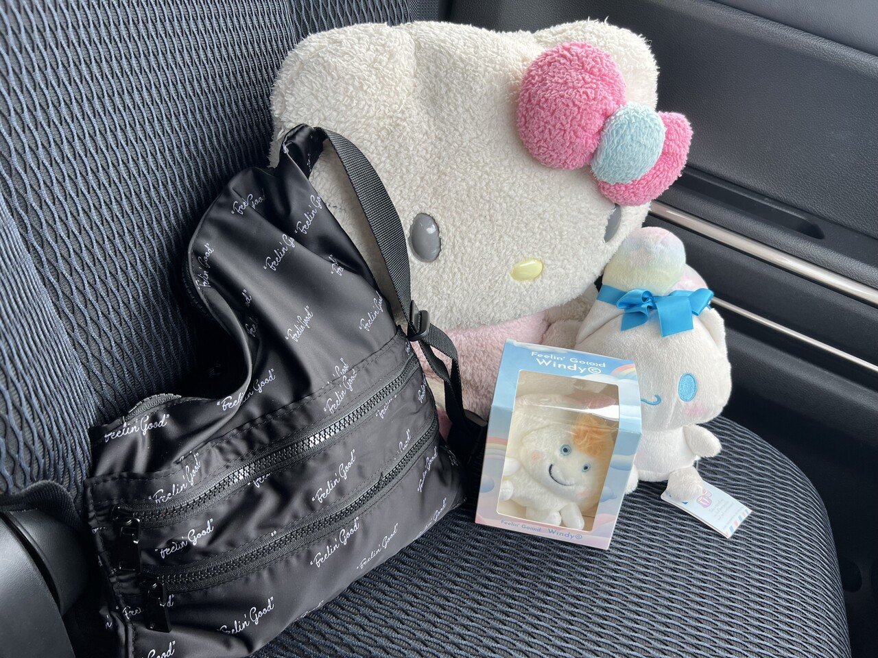 風さんが大好き💖 洗車したての愛車にお気に入りを助手席に乗せながら