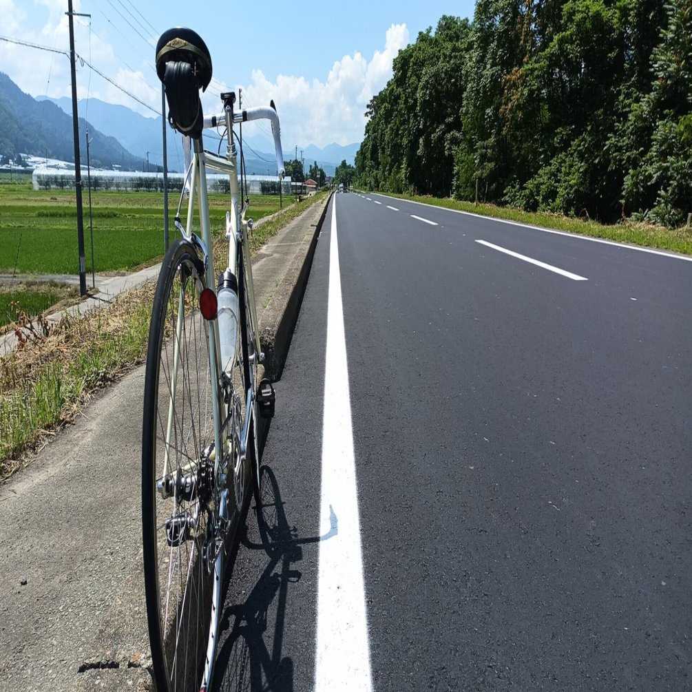 リアル80年代のロードレーサー： クロモリの走りを徹底調査 （その3