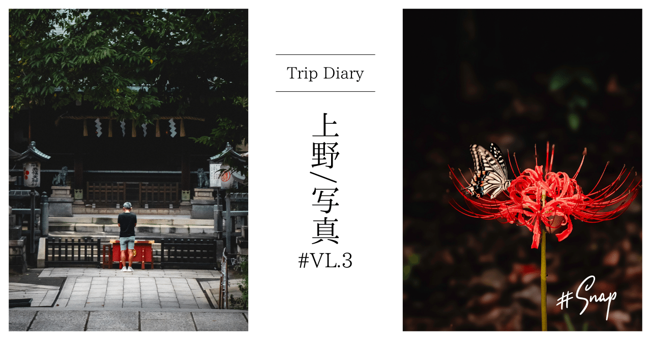 みなぽん【壁面飾り】2点『秋の訪れ～神宮と紅葉』『彼岸花とお地蔵さま』 上野のアメ横と上野公園で彼岸花をsnap！秋の魅力を写真に収める｜じぇ