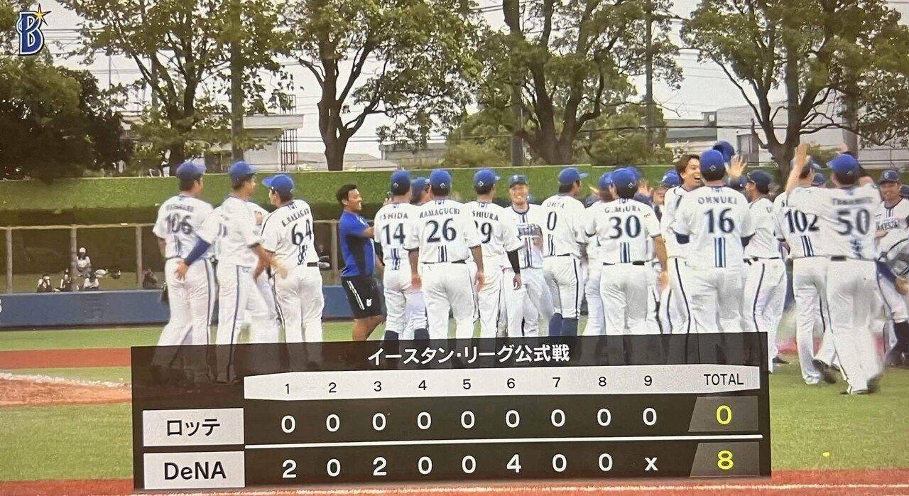 9/28（土）横浜DeNAベイスターズ 対 阪神タイガース　BAYSIDE　内野SS席1枚(通路側) 9⁄28(土)14:00 横浜DeNAベイスターズVS阪神タイガース 内野指定S(BAY SIDE)