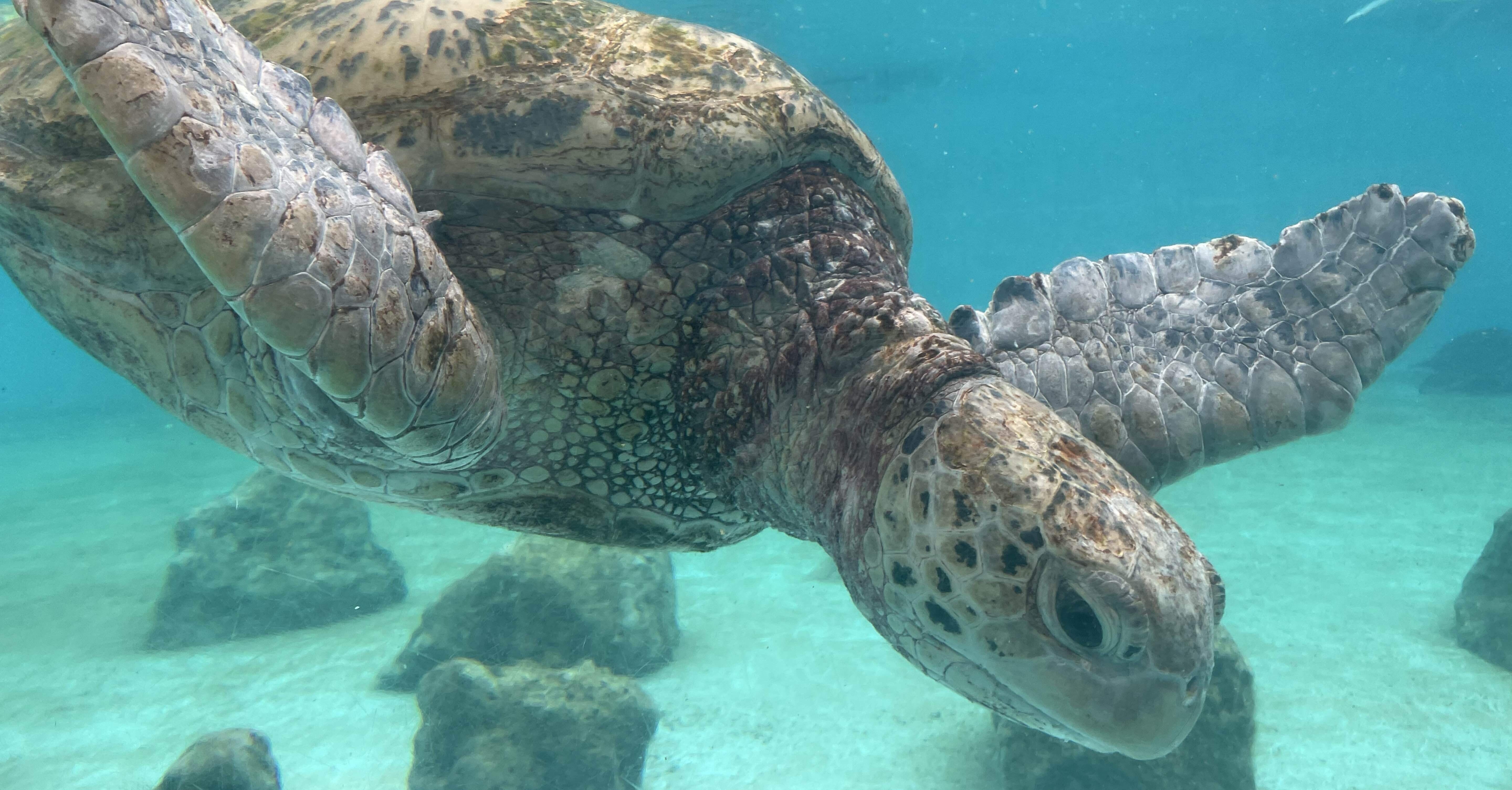 be935c9ba699b227360ba42ec75b99