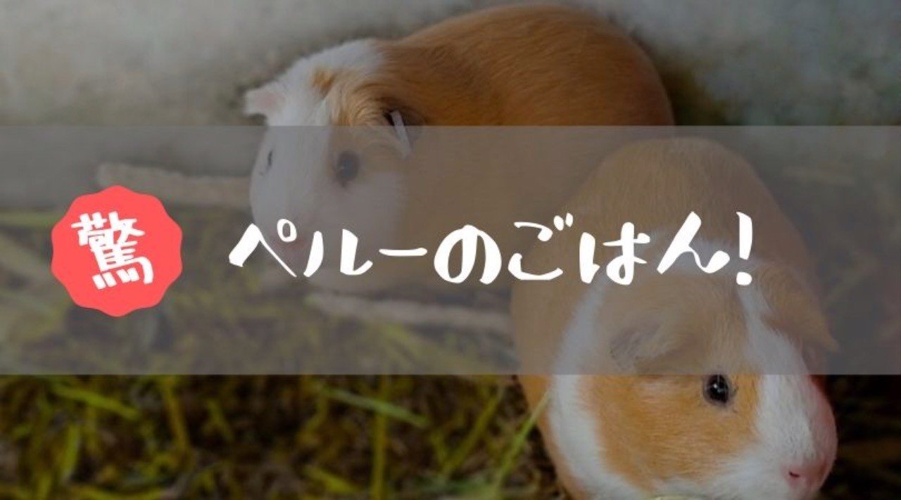 ペルーのおもてなし料理 Yasuko Note ペルーのおもてなし料理 Yasuko Note