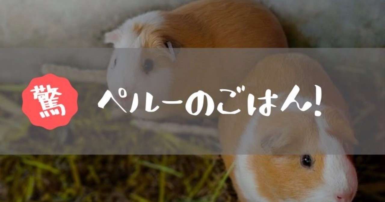 ペルーのおもてなし料理 Yasuko Note