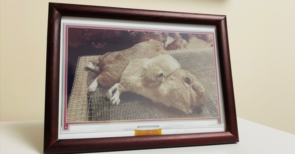 e469c71ee87d8e502d0f85acb2d9dd